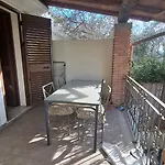 Nouli